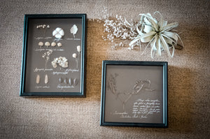 Framed Herbarium Set